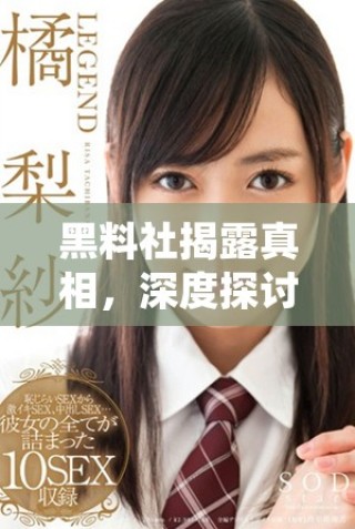 黑料社揭露真相，深度探討社會(huì)隱藏的陰暗面
