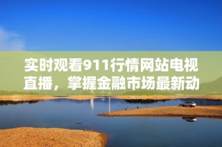 實(shí)時(shí)觀看911行情網(wǎng)站電視直播，掌握金融市場(chǎng)最新動(dòng)態(tài)與資訊