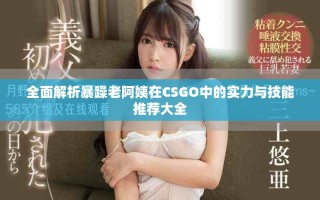 全面解析暴躁老阿姨在CSGO中的實(shí)力與技能推薦大全