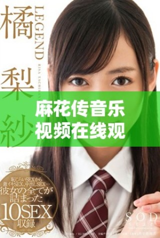 麻花傳音樂(lè)視頻在線觀看最新動(dòng)態(tài)及觀看方式詳解