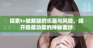 探索t+破解版的樂趣與風(fēng)險(xiǎn)，揭開隱藏功能的神秘面紗