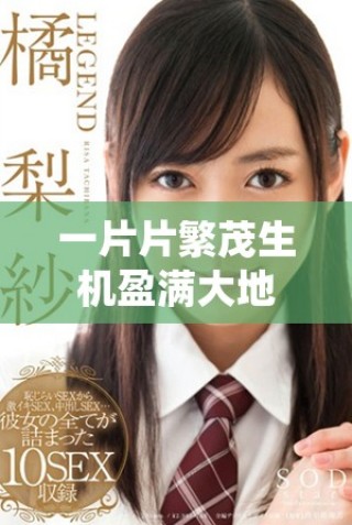 一片片繁茂生機(jī)盈滿大地的美麗景象展現(xiàn)出無限魅力