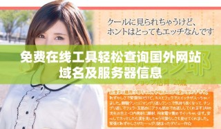 免費(fèi)在線工具輕松查詢國外網(wǎng)站域名及服務(wù)器信息