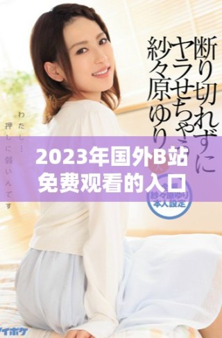 2023年國外B站免費觀看的入口與使用技巧解析