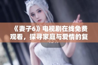 《妻子6》電視劇在線免費觀看，探尋家庭與愛情的復雜關(guān)系與挑戰(zhàn)