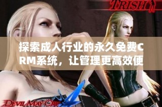探索成人行業(yè)的永久免費CRM系統(tǒng)，讓管理更高效便捷