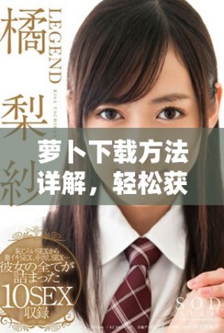 蘿卜下載方法詳解，輕松獲取你想要的應(yīng)用