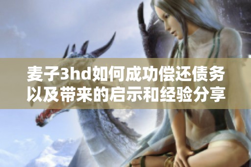 麥子3hd如何成功償還債務(wù)以及帶來(lái)的啟示和經(jīng)驗(yàn)分享