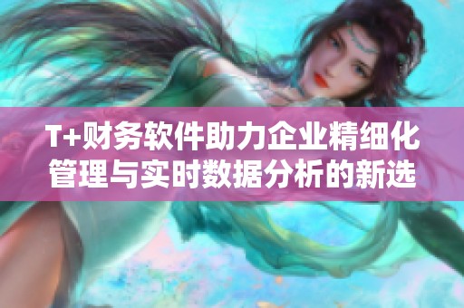 T+財務軟件助力企業(yè)精細化管理與實時數(shù)據(jù)分析的新選擇