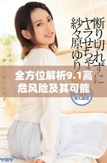 全方位解析9.1高危風(fēng)險(xiǎn)及其可能帶來(lái)的影響與應(yīng)對(duì)策略