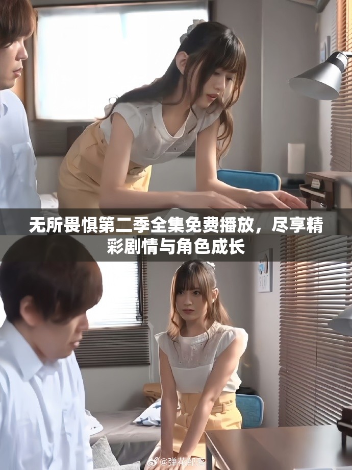 無(wú)所畏懼第二季全集免費(fèi)播放，盡享精彩劇情與角色成長(zhǎng)