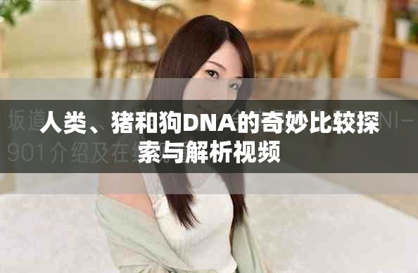 人類、豬和狗DNA的奇妙比較探索與解析視頻