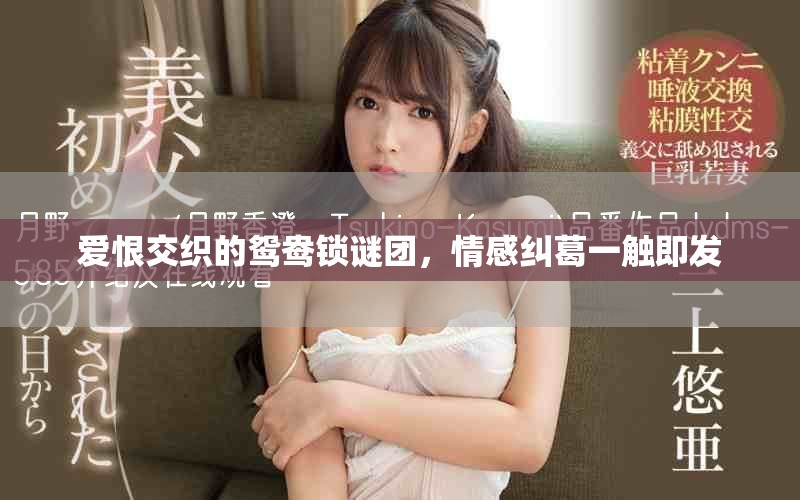 愛(ài)恨交織的鴛鴦鎖謎團(tuán)，情感糾葛一觸即發(fā)
