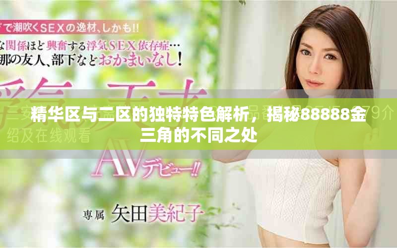 精華區(qū)與二區(qū)的獨特特色解析，揭秘88888金三角的不同之處