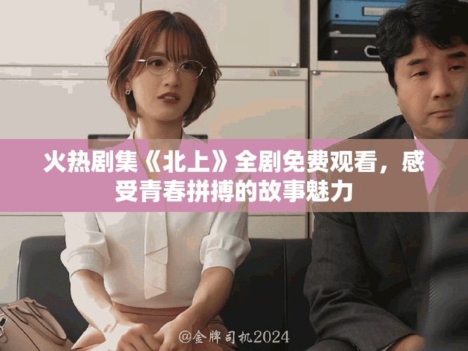 火熱劇集《北上》全劇免費觀看，感受青春拼搏的故事魅力