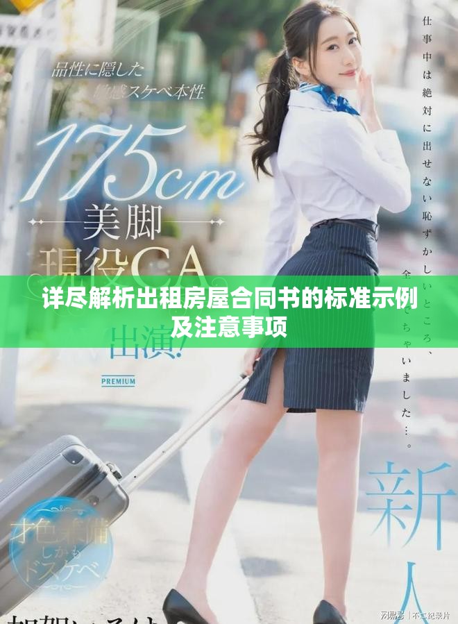 詳盡解析出租房屋合同書(shū)的標(biāo)準(zhǔn)示例及注意事項(xiàng)