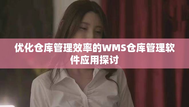 優(yōu)化倉庫管理效率的WMS倉庫管理軟件應用探討