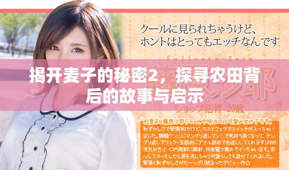揭開麥子的秘密2，探尋農(nóng)田背后的故事與啟示