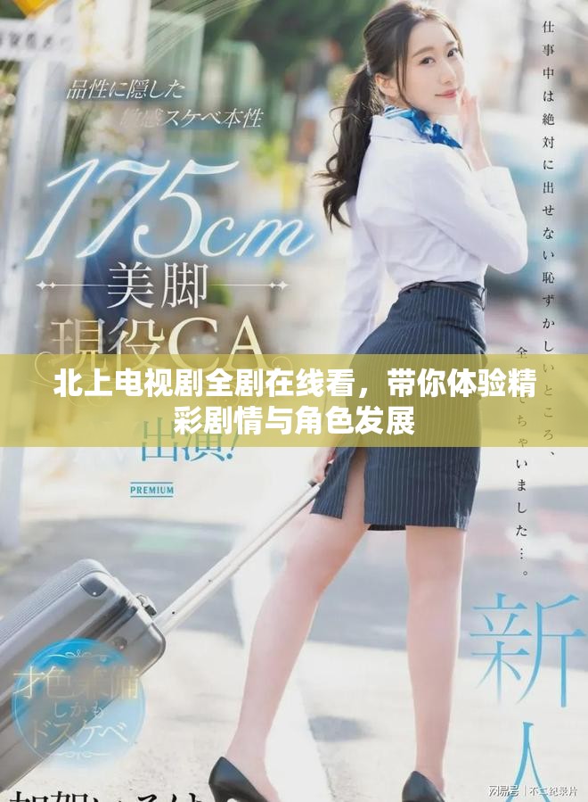 北上電視劇全劇在線看，帶你體驗精彩劇情與角色發(fā)展