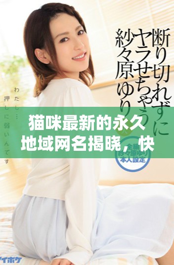 貓咪最新的永久地域網(wǎng)名揭曉，快來(lái)看看吧