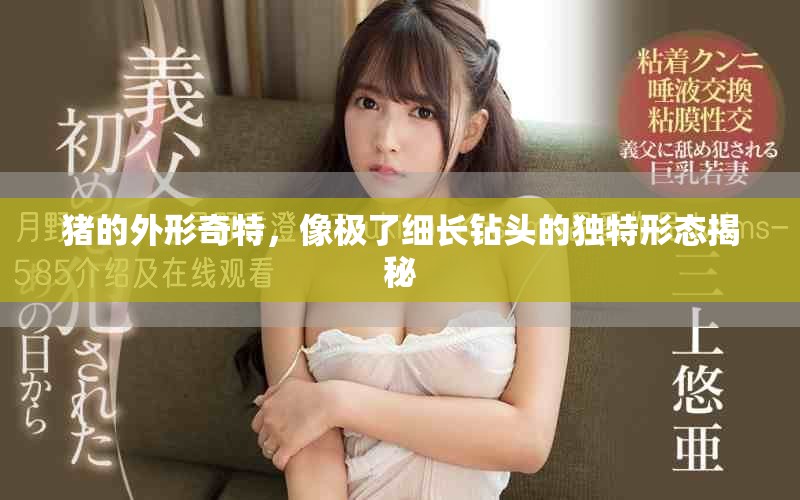 豬的外形奇特，像極了細(xì)長(zhǎng)鉆頭的獨(dú)特形態(tài)揭秘