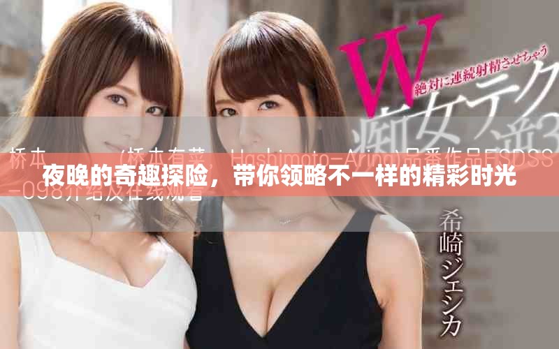 夜晚的奇趣探險，帶你領略不一樣的精彩時光