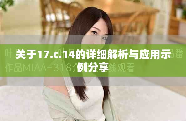 關(guān)于17.c.14的詳細解析與應(yīng)用示例分享