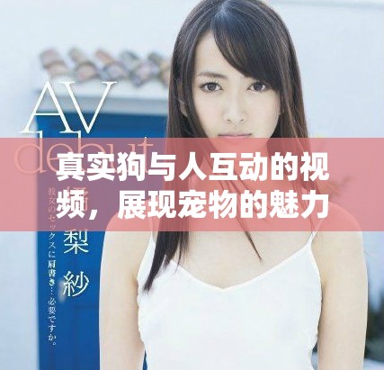 真實狗與人互動的視頻，展現(xiàn)寵物的魅力和溫暖