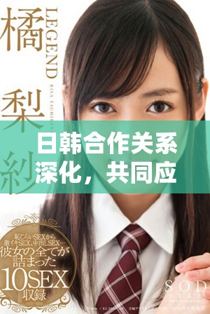 日韓合作關(guān)系深化，共同應(yīng)對全球挑戰(zhàn)與機遇