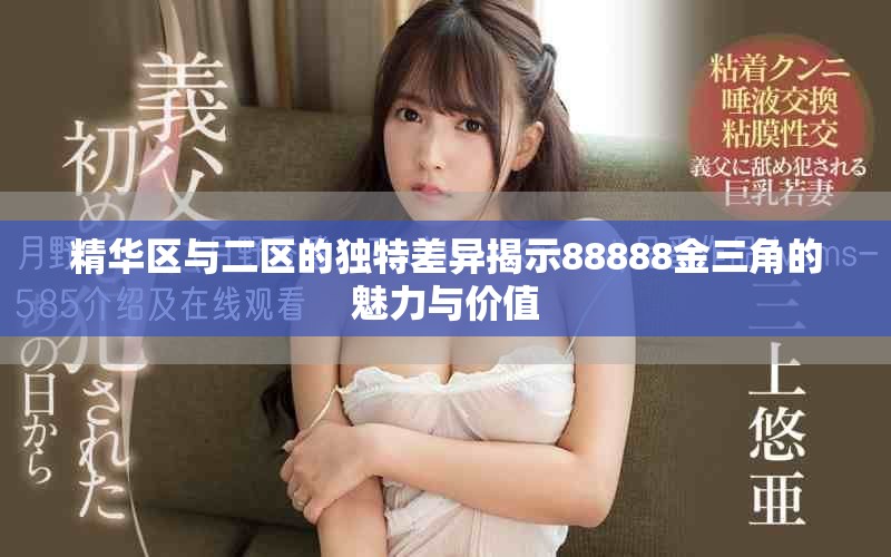 精華區(qū)與二區(qū)的獨(dú)特差異揭示88888金三角的魅力與價(jià)值