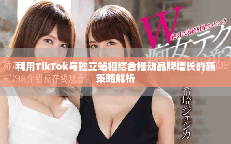 利用TikTok與獨(dú)立站相結(jié)合推動(dòng)品牌增長(zhǎng)的新策略解析