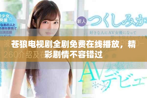蒼狼電視劇全劇免費(fèi)在線播放，精彩劇情不容錯(cuò)過(guò)