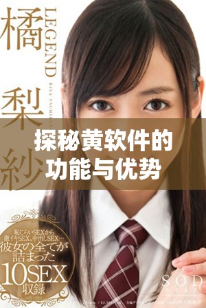 探秘黃軟件的功能與優(yōu)勢，揭示其在行業(yè)中的應(yīng)用前景