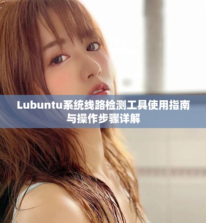 Lubuntu系統(tǒng)線路檢測(cè)工具使用指南與操作步驟詳解