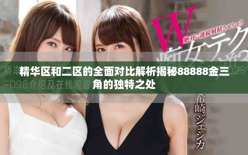 精華區(qū)和二區(qū)的全面對比解析揭秘88888金三角的獨特之處