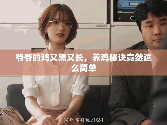爺爺?shù)碾u又黑又長(zhǎng)，養(yǎng)雞秘訣竟然這么簡(jiǎn)單