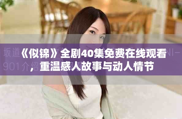 《似錦》全劇40集免費在線觀看，重溫感人故事與動人情節(jié)