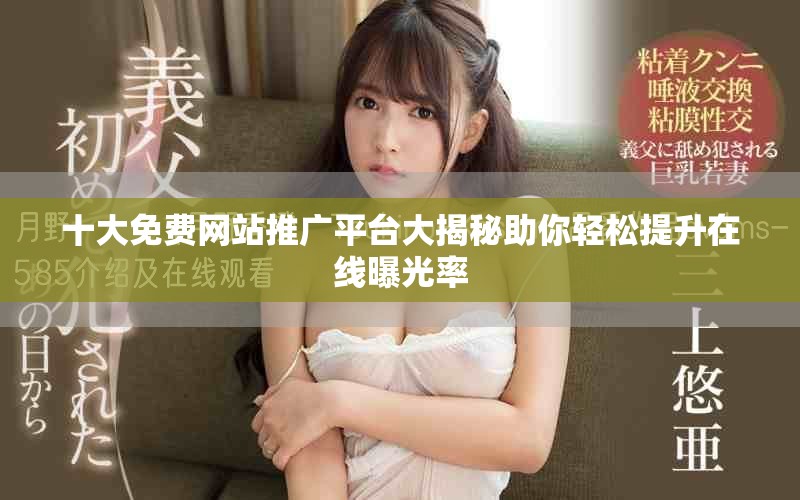十大免費(fèi)網(wǎng)站推廣平臺(tái)大揭秘助你輕松提升在線(xiàn)曝光率