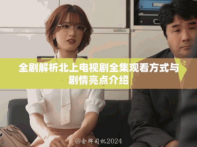 全劇解析北上電視劇全集觀看方式與劇情亮點介紹