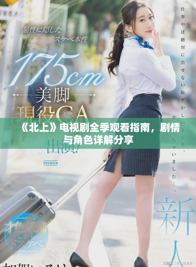 《北上》電視劇全季觀看指南，劇情與角色詳解分享