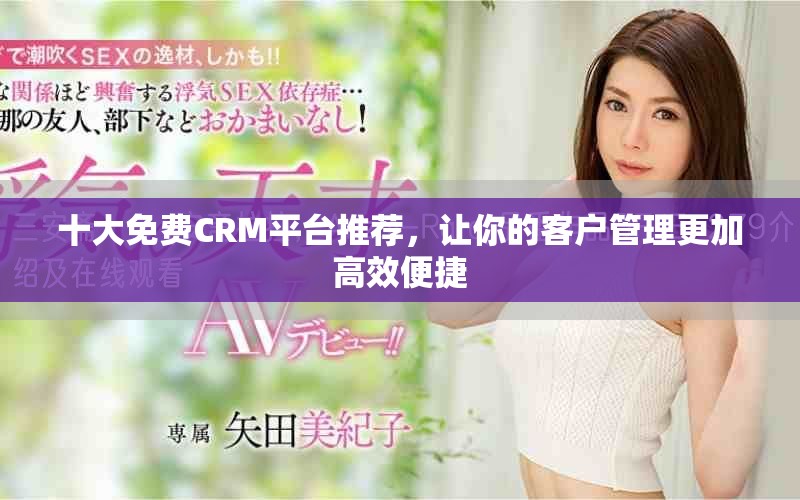 十大免費(fèi)CRM平臺(tái)推薦，讓你的客戶管理更加高效便捷