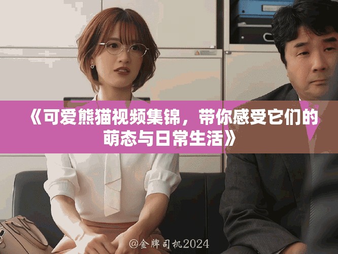 《可愛(ài)熊貓視頻集錦，帶你感受它們的萌態(tài)與日常生活》