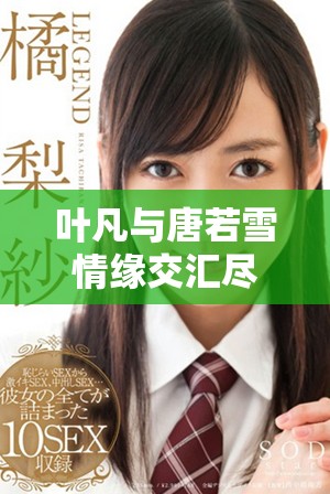 葉凡與唐若雪情緣交匯盡在小說全文免費(fèi)閱讀完整版中