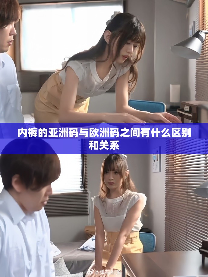 內褲的亞洲碼與歐洲碼之間有什么區(qū)別和關系