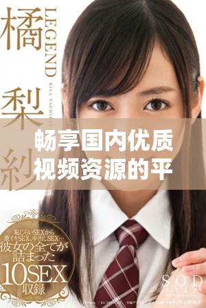 暢享國內(nèi)優(yōu)質(zhì)視頻資源的平臺(tái)推薦與使用指南