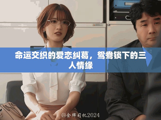 命運交織的愛戀糾葛，鴛鴦鎖下的三人情緣