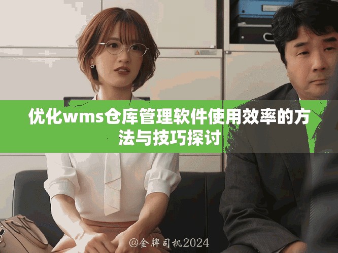 優(yōu)化wms倉(cāng)庫(kù)管理軟件使用效率的方法與技巧探討