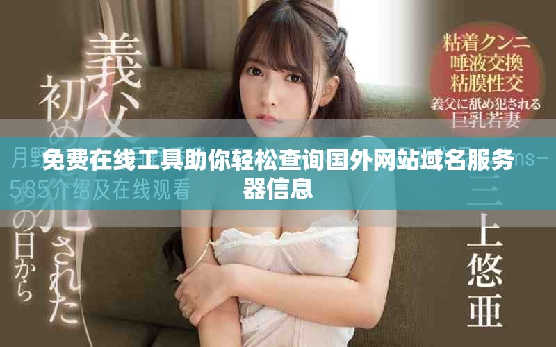 免費在線工具助你輕松查詢國外網(wǎng)站域名服務(wù)器信息