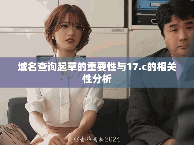 域名查詢(xún)起草的重要性與17.c的相關(guān)性分析