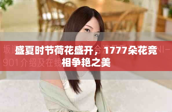 盛夏時(shí)節(jié)荷花盛開，1777朵花競(jìng)相爭艷之美
